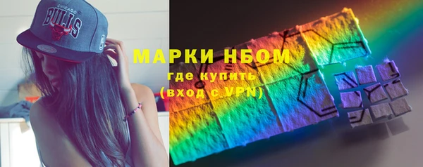 прущие грибы Надым