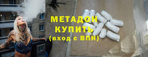 прущие грибы Надым