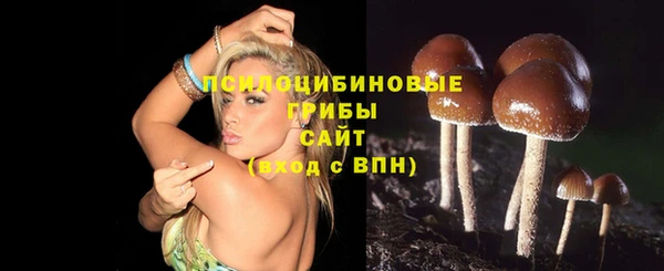 прущие грибы Надым