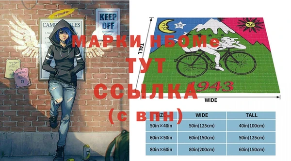 прущие грибы Надым