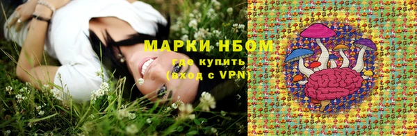 прущие грибы Надым