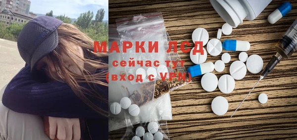 прущие грибы Надым