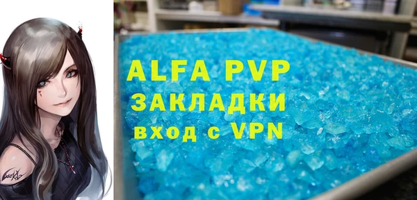 прущие грибы Надым