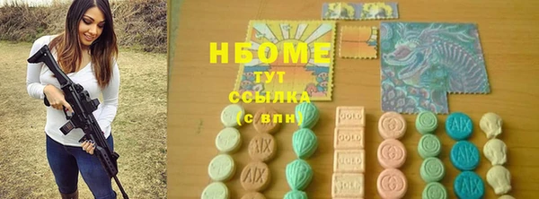 прущие грибы Надым
